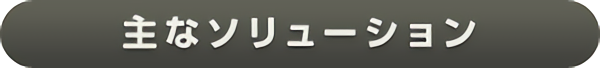 主なソリューション